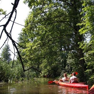 Zdjęcie wydarzenia Spływ kajakowy rzeką Baryczą z KayakTours.pl