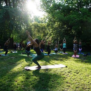 Zdjęcie wydarzenia Yoga auf dem Rasen auf der Insel Wyspa Piaskowa