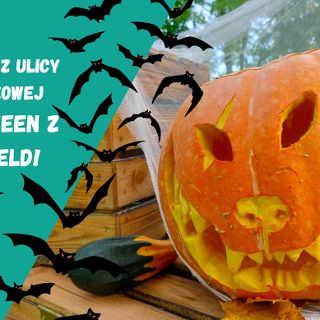 Zdjęcie wydarzenia Koszmar z ulicy Letniskowej! Halloween z Dogfield