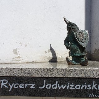 Rycerz Jadwiżański (Hedwig’s Knight)