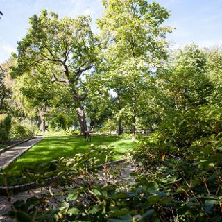 Botanischer Garten der Universität Wrocław