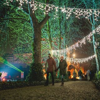 Zdjęcie wydarzenia Światłogród  w Ogrodzie Botanicznym