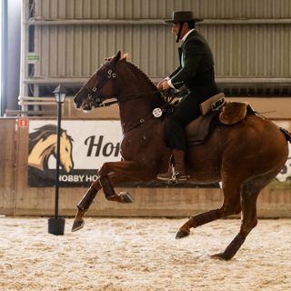 Zdjęcie wydarzenia VI Wroclove Międzynarodowe Zawody Working Equitation WAWE