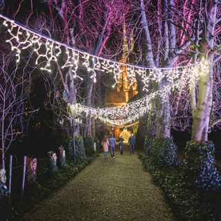 Zdjęcie wydarzenia Światłogród  w Ogrodzie Botanicznym