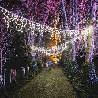 Zdjęcie wydarzenia Light – Works – Wonders in the Botanical Garden