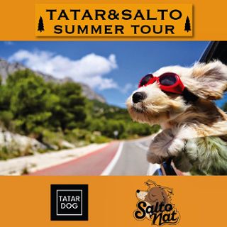 Zdjęcie wydarzenia Tatar & Salto Summer Tour