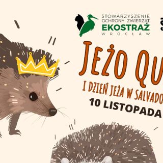 Zdjęcie wydarzenia JEŻO-QUIZ Dzień Jeża w Salvadorze