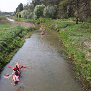 Zdjęcie wydarzenia Spływ kajakowy rzeką Widawą z KayakTours.pl