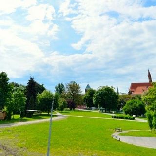 Zdjęcie wydarzenia Yoga auf dem Rasen auf der Insel Wyspa Piaskowa