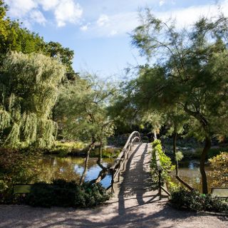 Botanischer Garten der Universität Wrocław