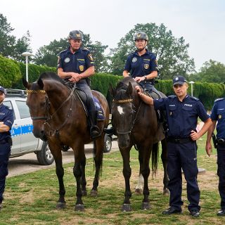 Zdjęcie wydarzenia Piknik z Policją [Lato na Pergoli 2025]