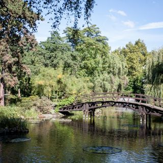 Zdjęcie wydarzenia Botanical Garden season 2022