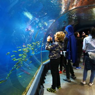 Afrykarium ZOO Wrocław