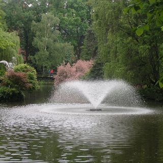 Zdjęcie wydarzenia Botanical Garden season 2022