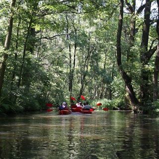 Zdjęcie wydarzenia Spływ kajakowy rzeką Baryczą z KayakTours.pl
