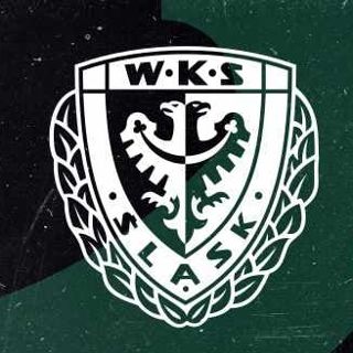 Zdjęcie wydarzenia WKS Śląsk Wrocław vs. Muszynianka Domelo Sokół Łańcut