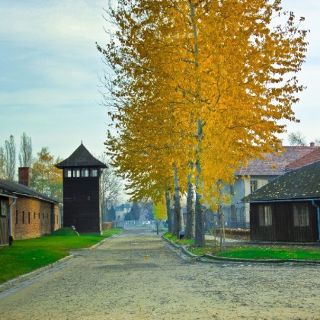 Day Tours – Jednodniowe wycieczki poza Wrocław