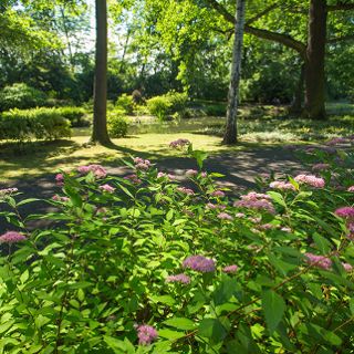 Park Szczytnicki we Wrocławiu