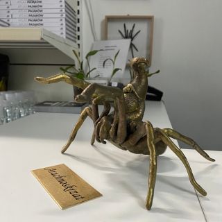 Arachnoskrzat
