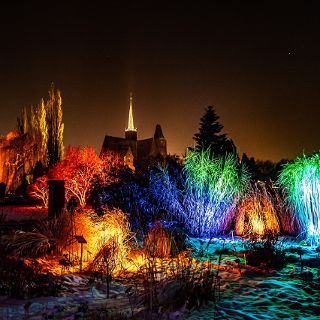 Zdjęcie wydarzenia Światłogród  w Ogrodzie Botanicznym