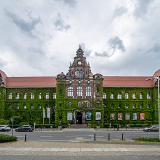 Zdjęcie wydarzenia Spacer tematyczny po wystawach stałych oraz warsztaty plastyczne [Wrocławskie Dni Seniora 2025]
