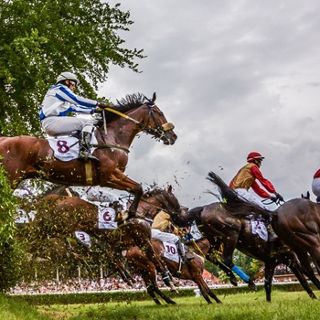 Zdjęcie wydarzenia Prestigious horse races in the international cast