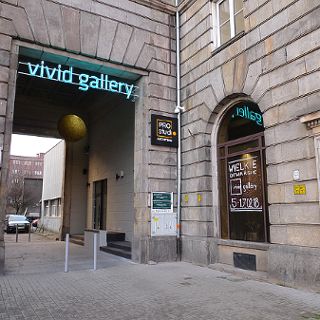 Vivid Gallery