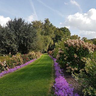 Zdjęcie wydarzenia Arboretum w Wojsławicach – spacery po ogrodzie botanicznym pod Wrocławiem
