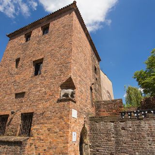 Torre Niedźwiadka