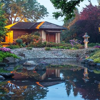 Zdjęcie wydarzenia Japanese Garden starts the season