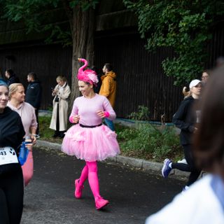 Zdjęcie wydarzenia Wild Run 2025 Wrocław