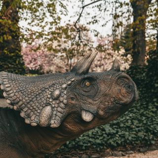 Zdjęcie wydarzenia Majówka z dinozaurami w Ogrodzie Botanicznym