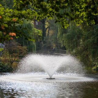 Jardín Botánico de la Universidad de Wroclaw