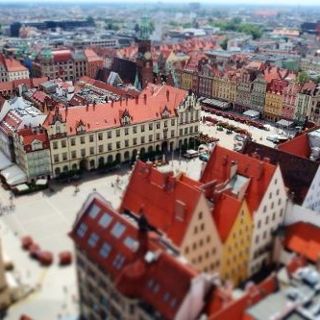 Zdjęcie wydarzenia Bezpłatne Spacery Letnie – Fundacja Katarynka