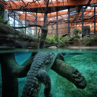 Afrykarium ZOO Wrocław