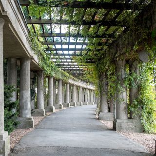 Pergola we Wrocławiu