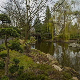 Zdjęcie wydarzenia Ogród Japoński – cennik, godziny otwarcia, atrakcje