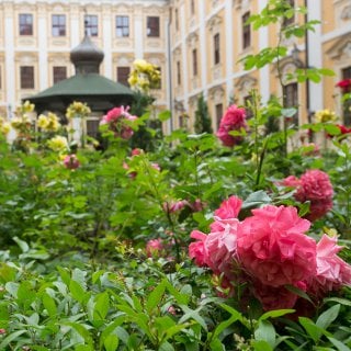 Klostergarten am Philologischen Institut