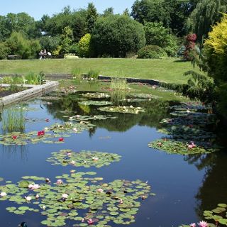 Zdjęcie wydarzenia Jardín Botánico - temporada 2020 - horario de apertura