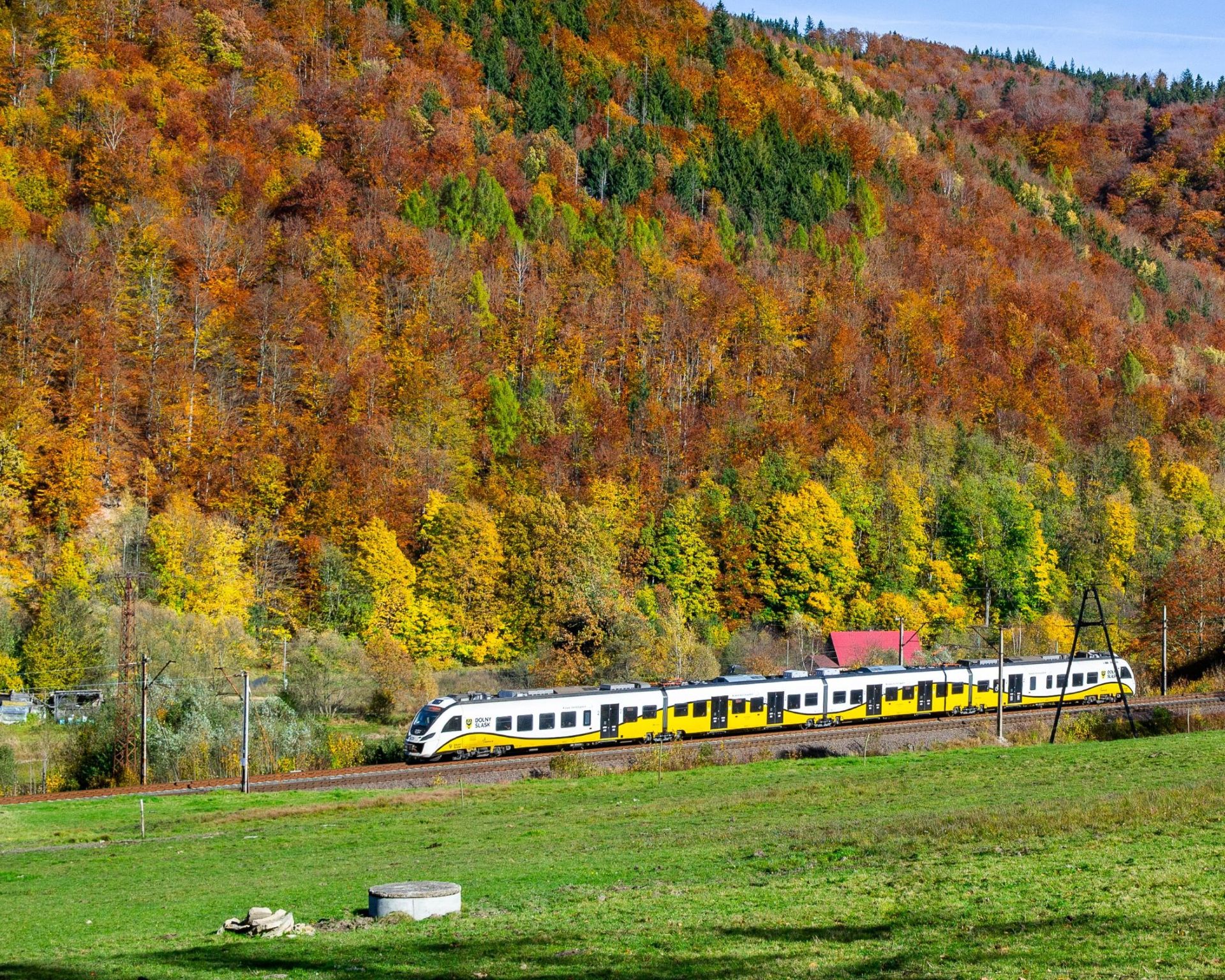 Powiększ obraz: Pociąg Kolei Dolnośląskich jadący przez Janowice Wielkie skąpane w barwach jesieni