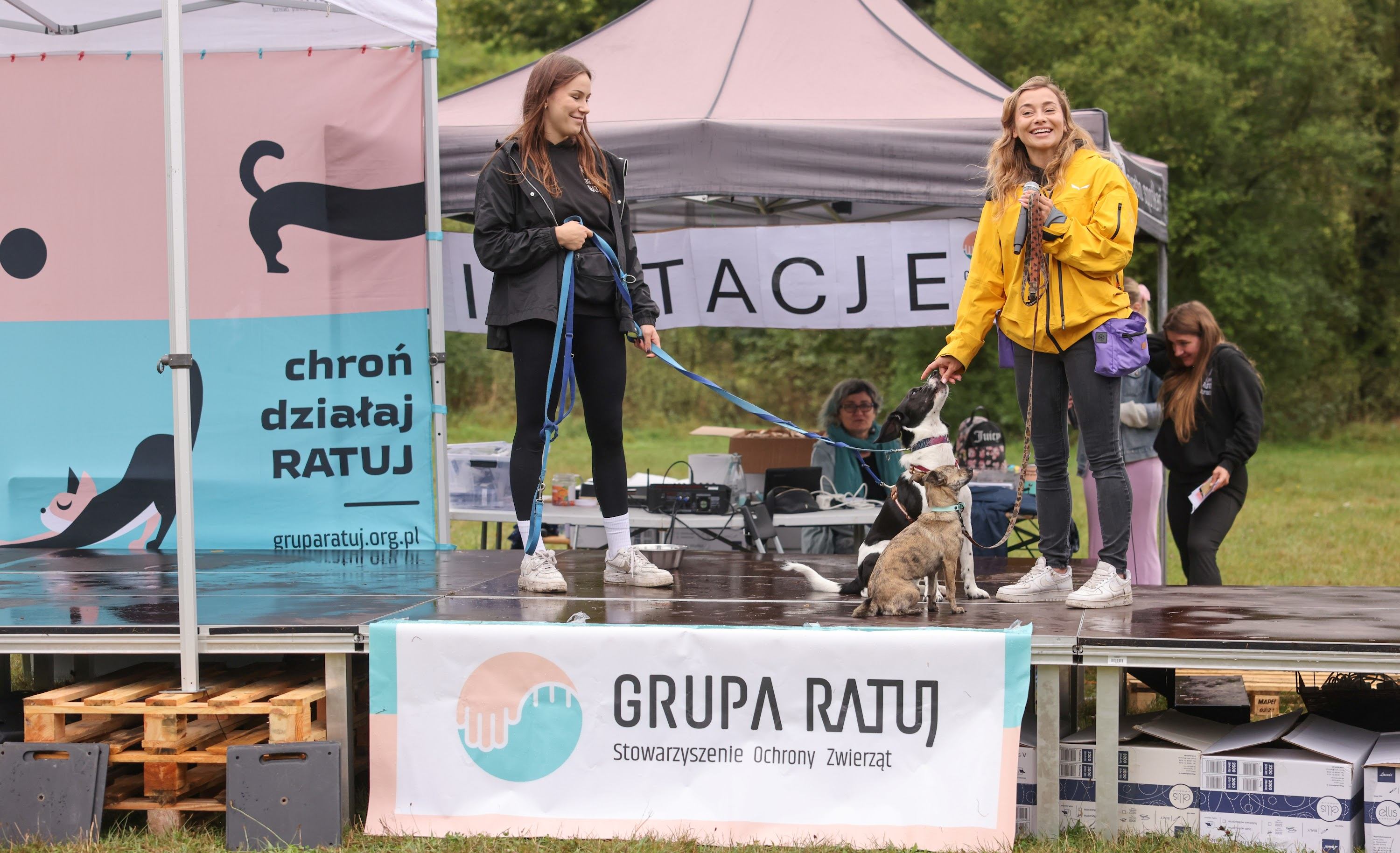 Prezentacja psiaków do adopcji podczas ubiegłorocznego wydarzenia