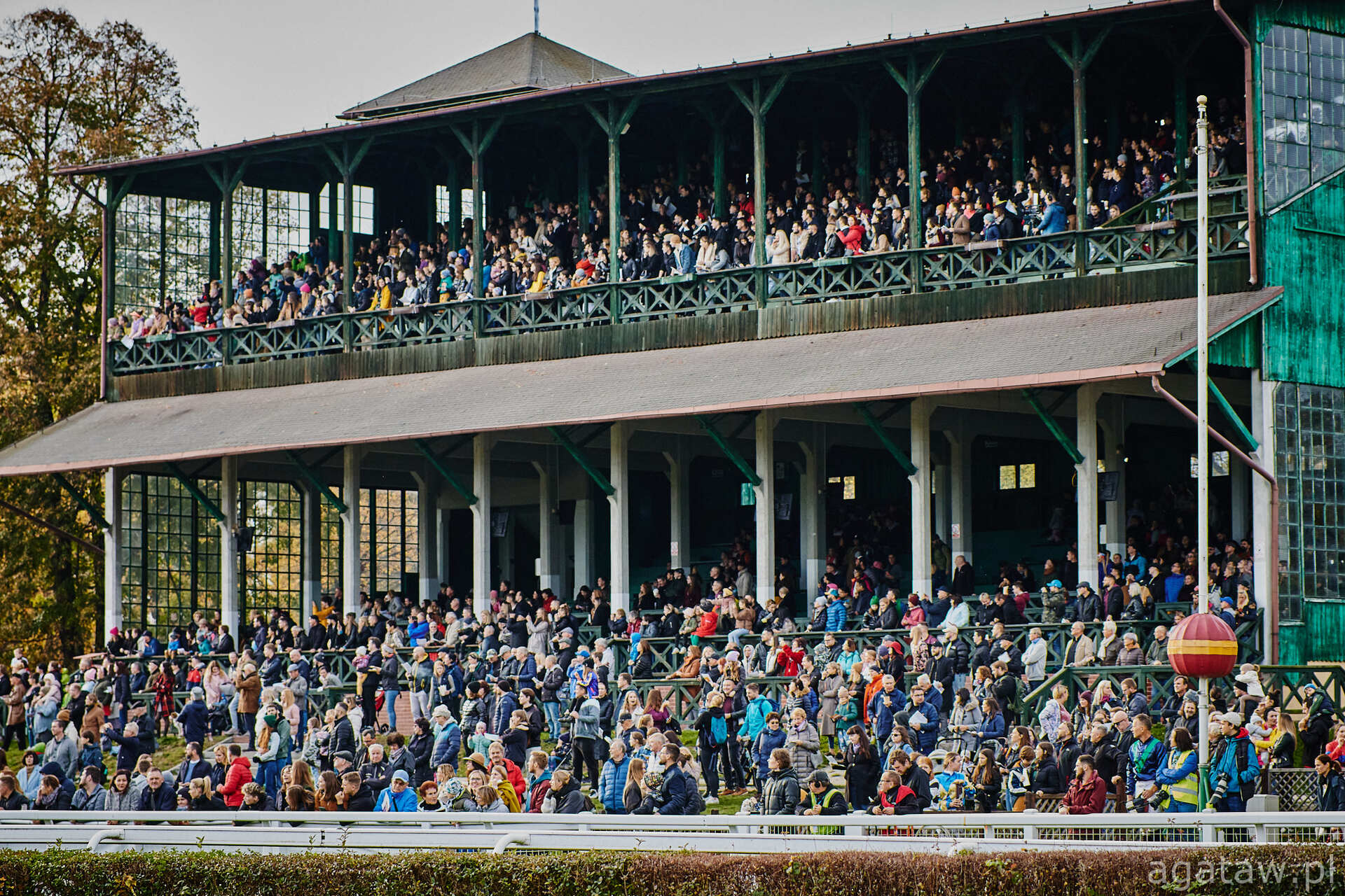 Powiększ obraz: Trybuny na Torze Wyścigów Konnych Partynice