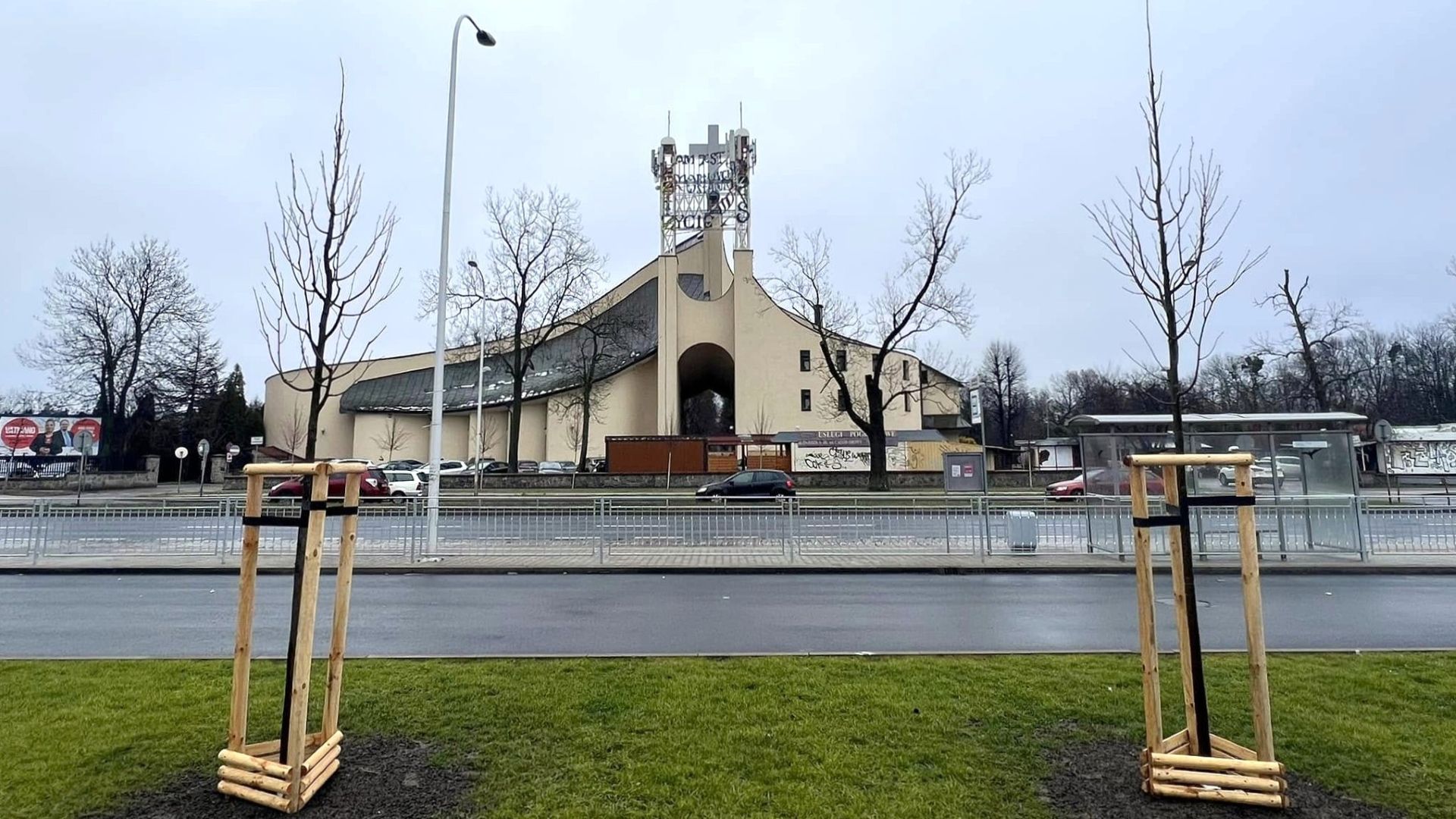 Świeżo posadzone drzewa na ulicy Bardzkiej
