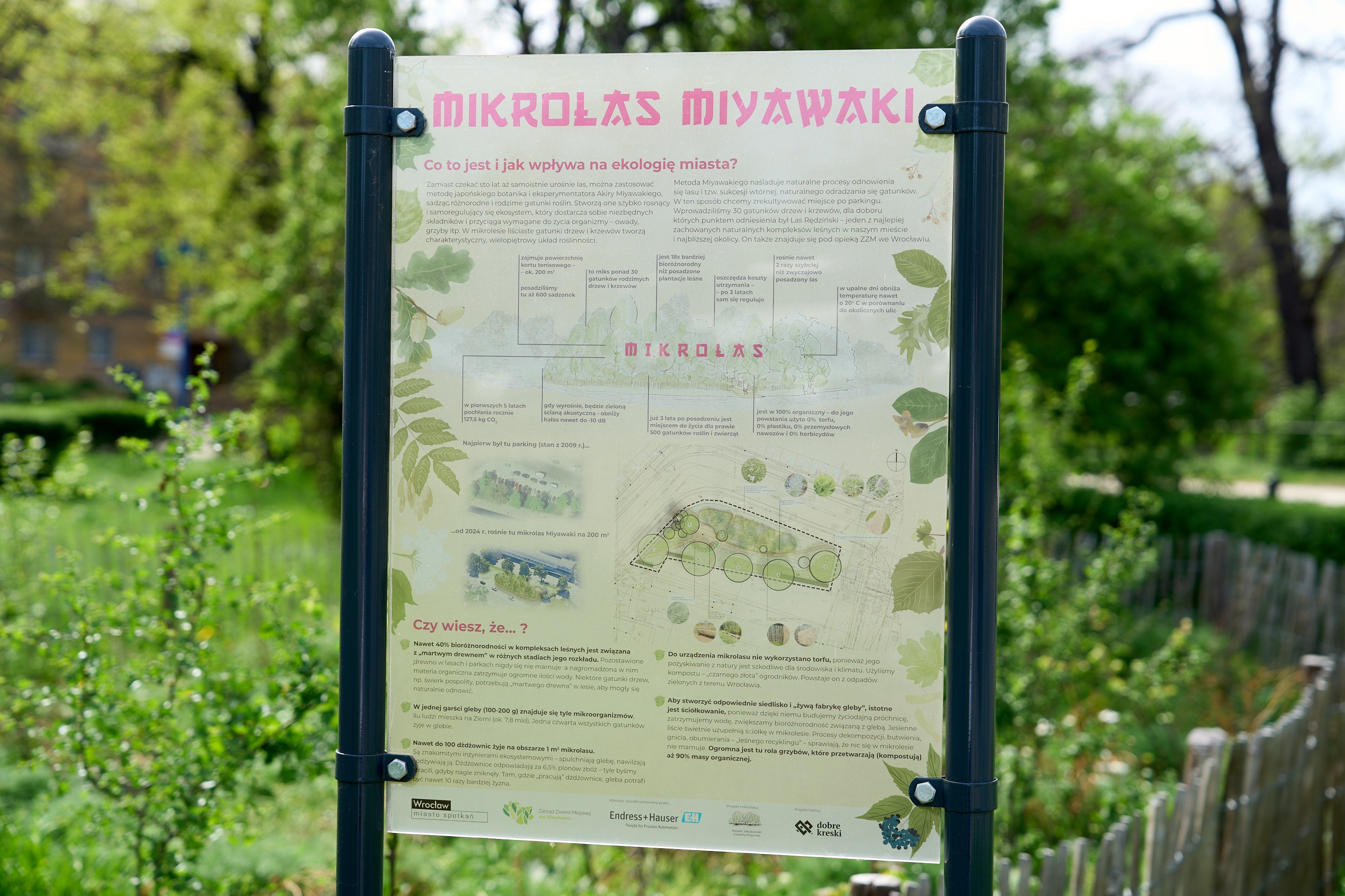 Wrocławski mikrolas Miyawaki - kwiecień 2025