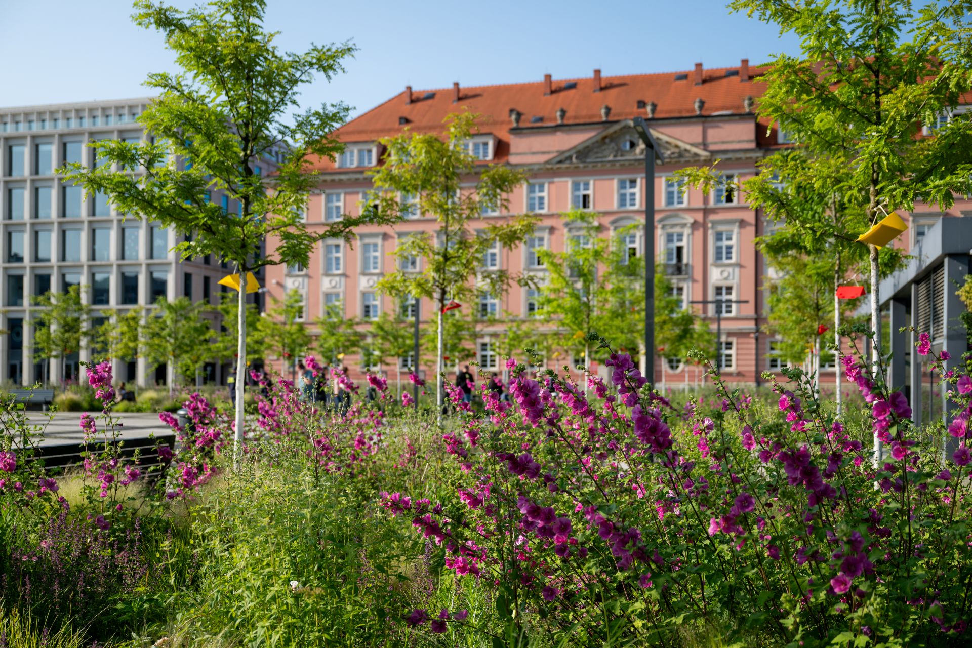 Plac Nowy Targ