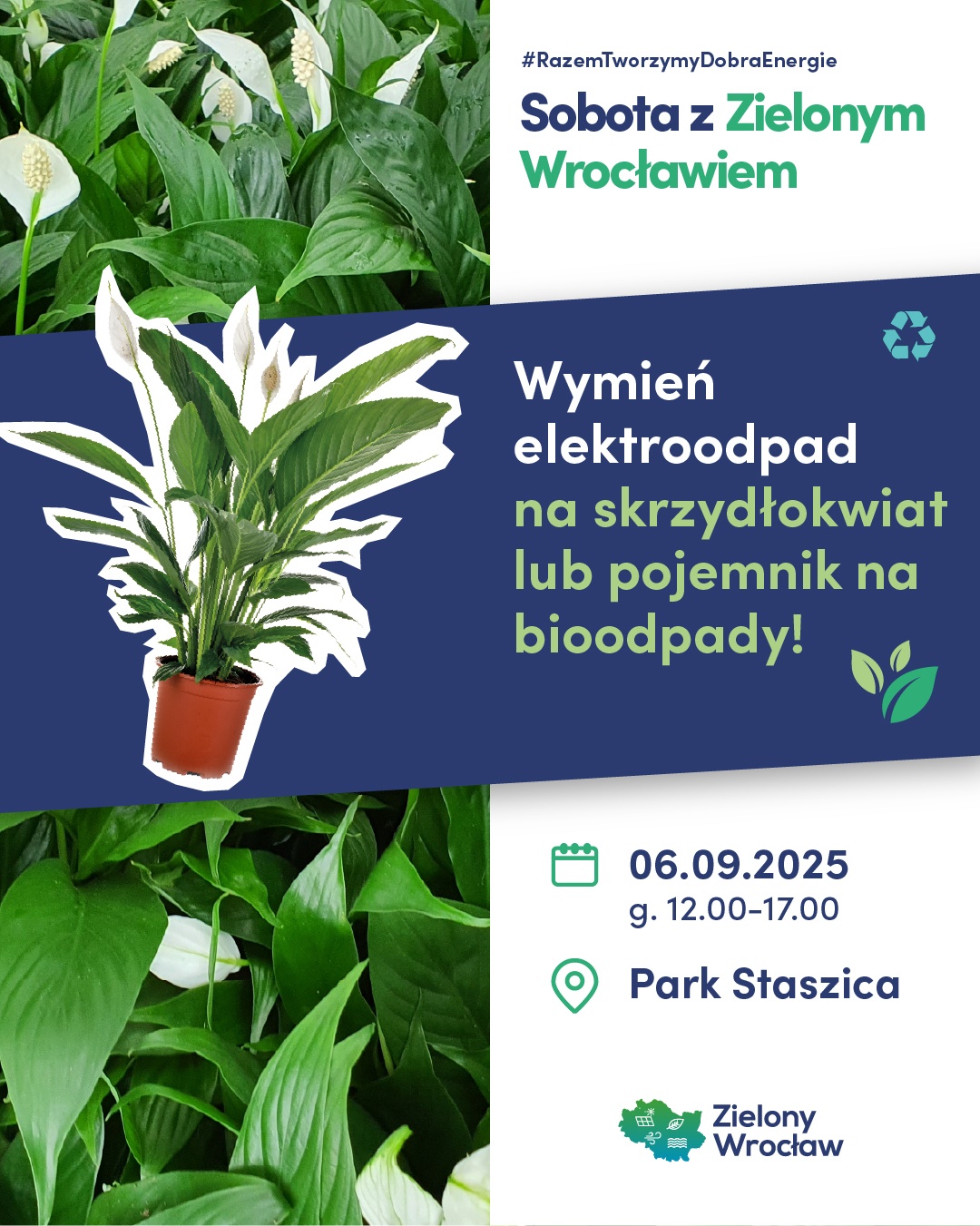 Wymień elekroodpad na skrzydłokwiat lub pojemnik na bioodpady