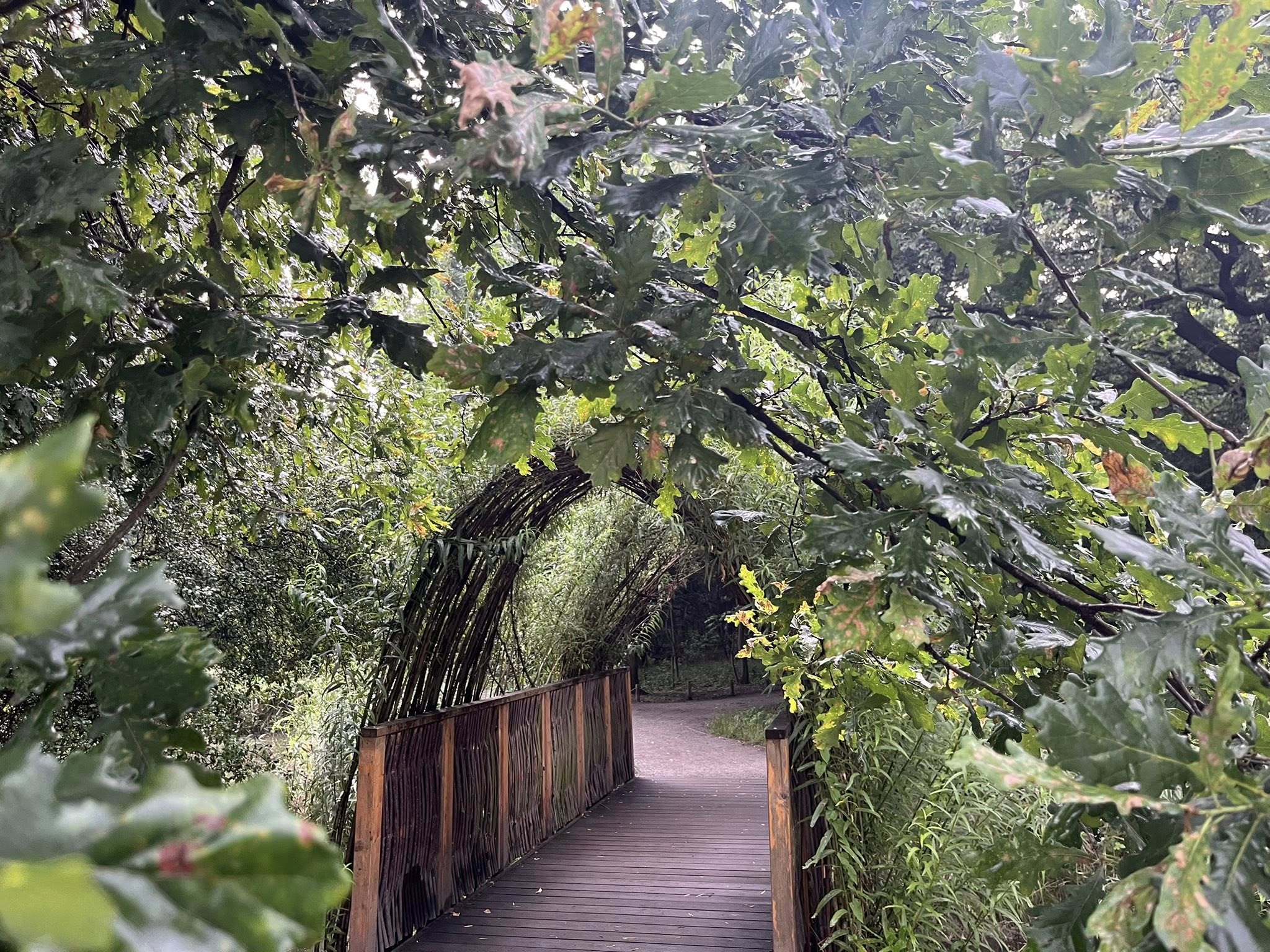 Park Krzycki