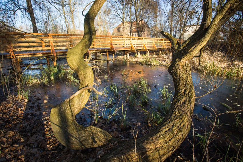 Park Krzycki