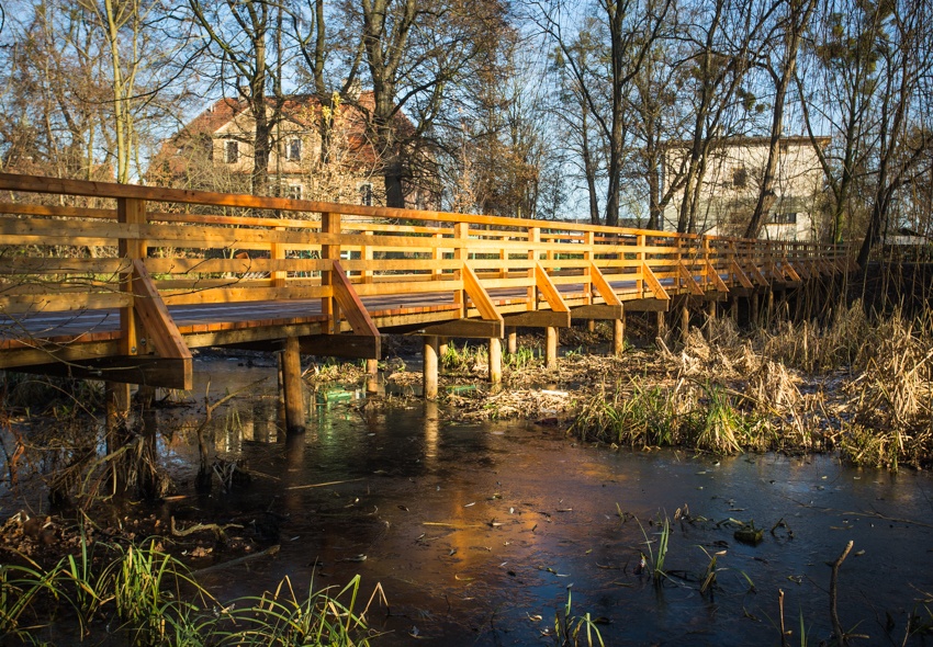 Park Krzycki