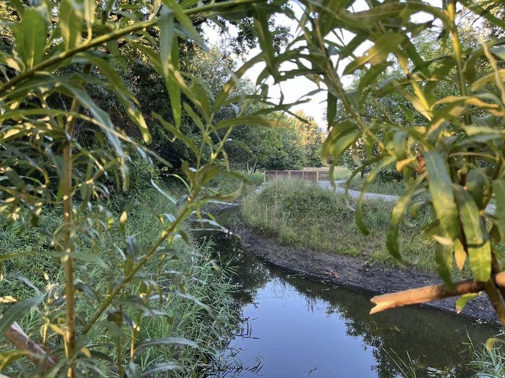 Park Krzycki